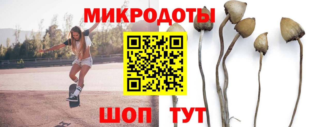 Псилоцибиновые грибы мухоморы  Вход с VPN  Ессентуки 