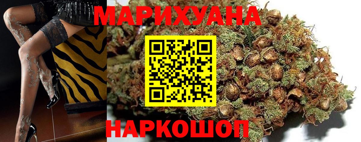 Каннабис индика Ессентуки